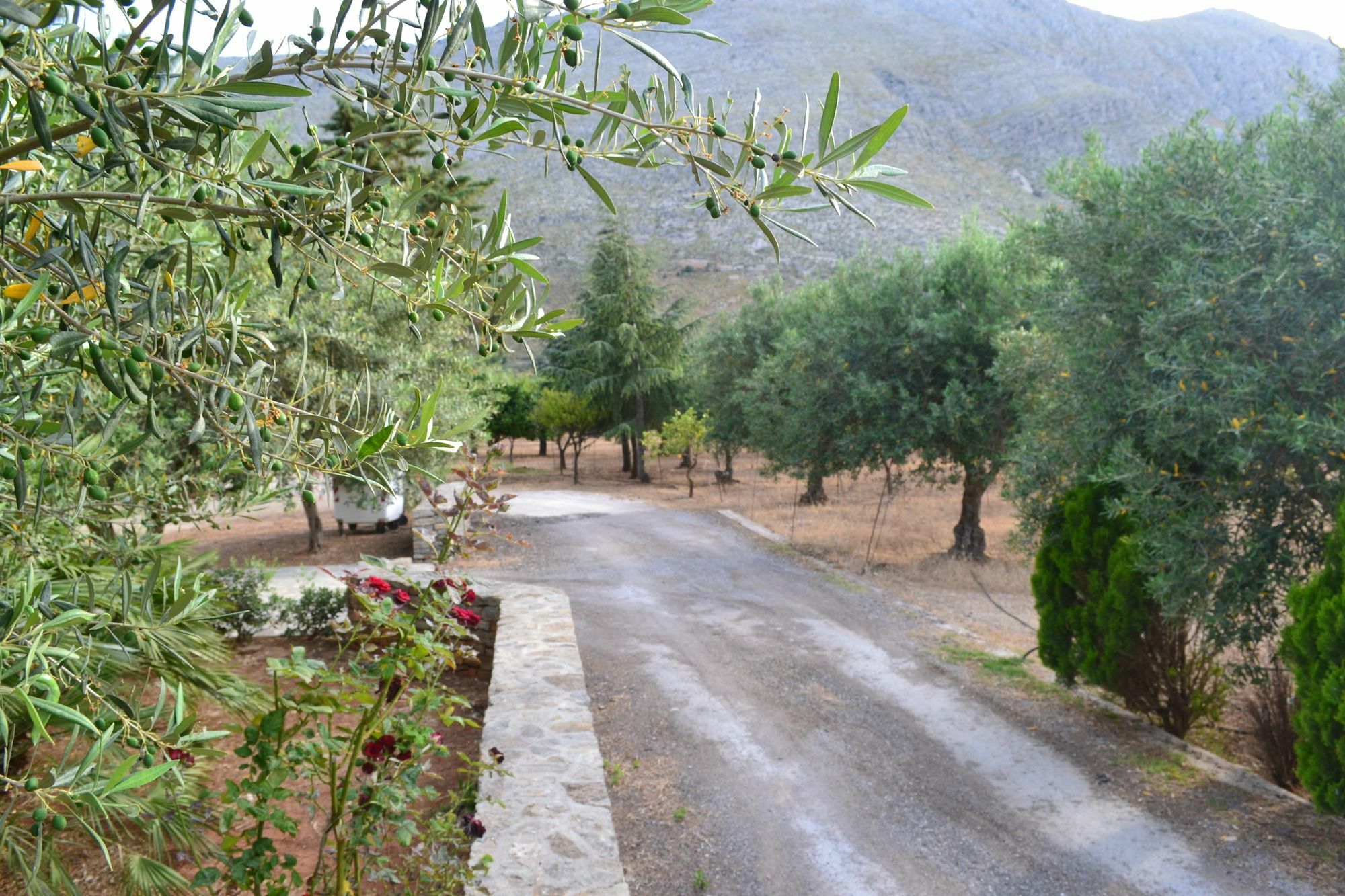 La Giara San Vito Lo Capo Vila Castelluzzo Exterior foto